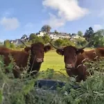 Mobil Avec Terrasse - 3 Pers. - Api-1-52-2028 La Tour-dʼAuvergne