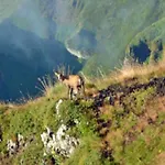 Mobil Avec Terrasse - 3 Pers. - Api-1-52-2028 אתר קמפינג *