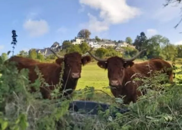 Mobil Avec Terrasse - 3 Pers. - Api-1-52-2028 Ла-Тур-д'Овернь