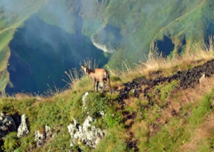 Mobil Avec Terrasse - 3 Pers. - Api-1-52-2028 Кемпинг *